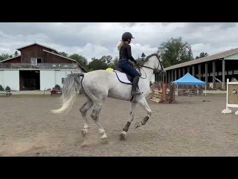 Tissot Z video 1