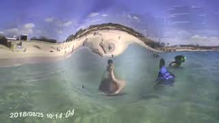Cabos - Snorkeling with kids in shallow water