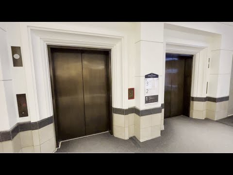 Montgomery Traction Elevators - Nordstrom, Mall of America - Bloomington, MN