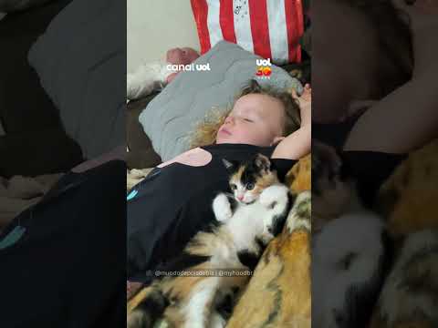 Momento fofura! Mãe flagra gatinha “vigiando” o sono da filha