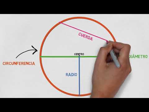Partes del círculo