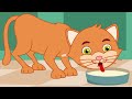 Hindi Rhymes And Balgeet Ek Billi Hamari एक बिल्ली हमारी Kids Tv India Hin