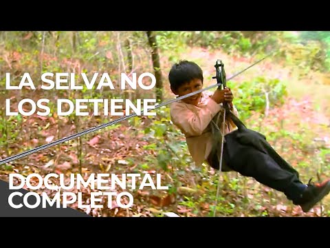 Most Dangerous Routes to School in Bolivia | Free Documentary (Spanish)
