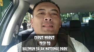 preview picture of video 'Carut Marut Trip To Halimun Salak National Park'