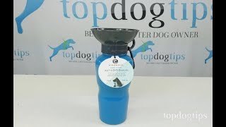 Highwave AutoDogMug Water Bowl for Dogs Review