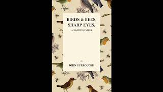 Birds and Bees, Sharp Eyes, and Other Papers