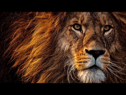 La feria de las tinieblas, de Ray Bradbury (vídeo reseña)