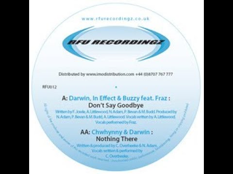 Chwhynny & Darwin - Nothing There