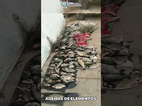RESUMEN POLICIAL EN #corrientes