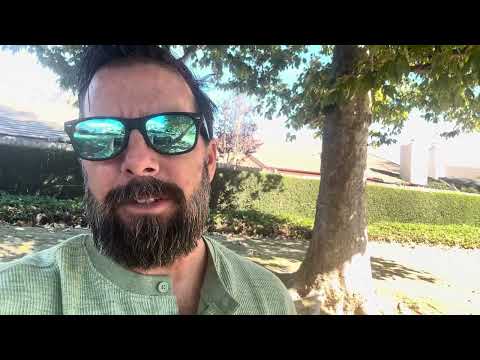 Maximizing Profits Beyond Square: Is It Still the Best Fit for Your Growing Business?