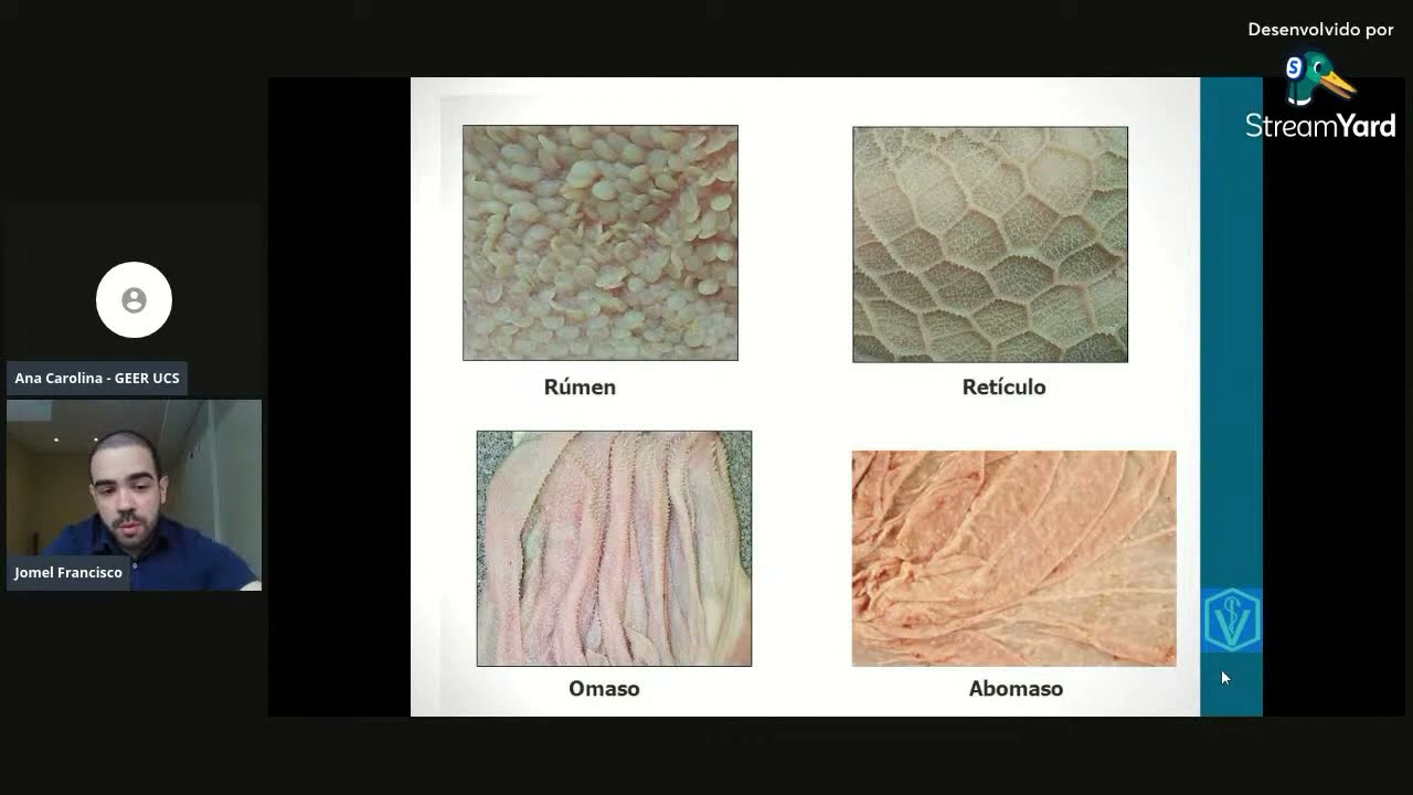 Fisiologia do Trato gastrointestinal de ruminantes