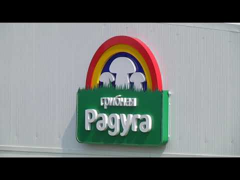 В Курске ищут источники неприятного запаха в Северном микрорайоне