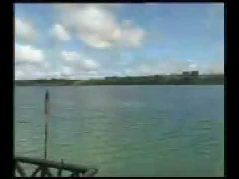 Shakura Local String Band _ Rosy ♡ 🇻🇺