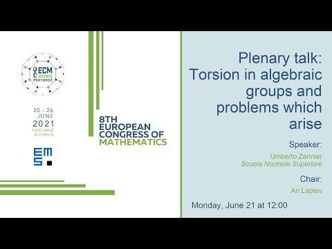 8ECM Plenary Lecture: Umberto Zannier