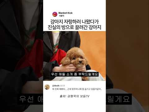 강아지 자랑하러 나왔다가진실의 방으로 끌려간 강아지 #강형욱