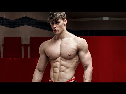 ALONE - DAVID LAID - GYM MOTIVATION