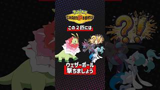 この対面、ウェザーボール安定です
