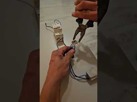 ##darvolt #elektryk #22wiek #electric