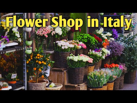 Ornamental Plants in Milan, Italy / Flower shop in Italy/ Indoor Plants #flowers #flowershop #milan