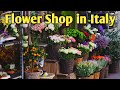 Ornamental Plants In Milan Italy Flower Shop In Italy Indoor Plants Flowers Flowershop Milan