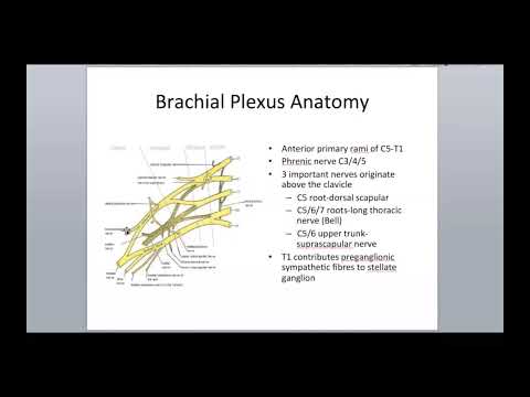 Nerve Injury Part 2 - Brachial Plexus Injuries