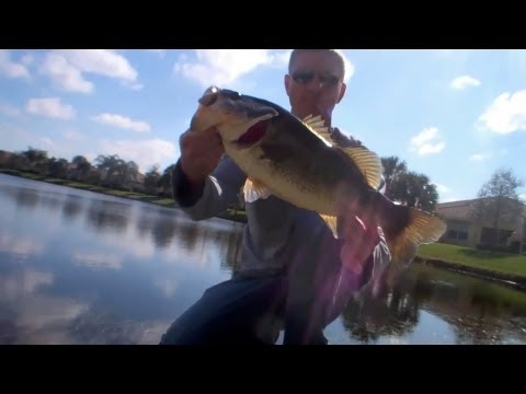 Drop Shot Lunker (Hat Cam Bass)
