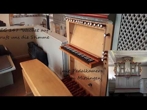 EG 147 Wachet auf, ruft uns die Stimme |mit Pedalkamera| | Zum Mitsingen| (Ewigkeitssonntag)