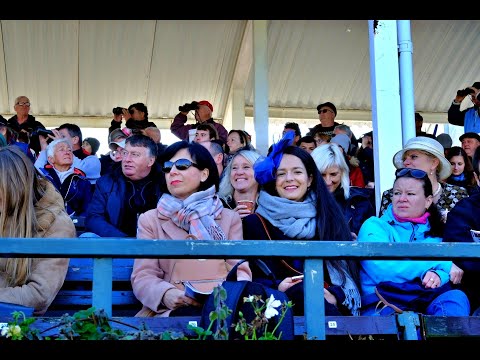 Velká pardubická 2021