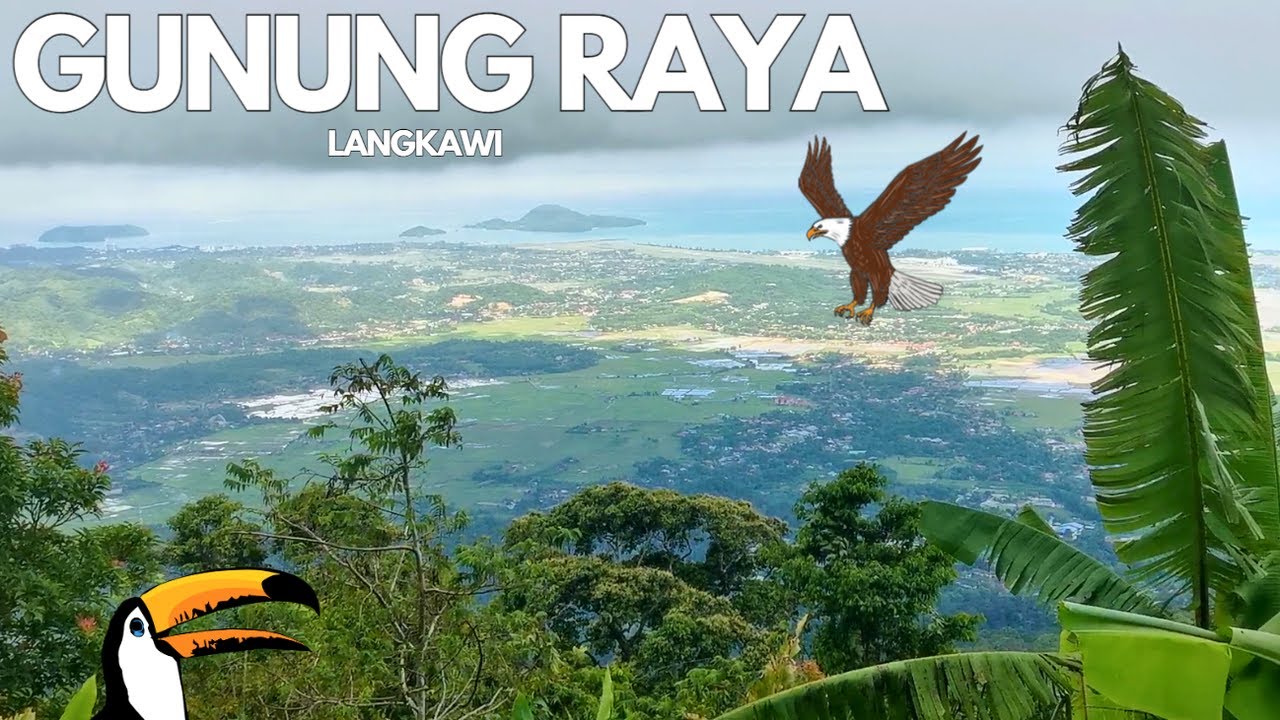 Experience a walking tour of Gunung Raya, Langkawi’s highest peak