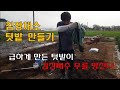 김장채소 텃밭 만들기 급하게 만든 텃밭이 김장배추 무를 망친다