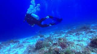 Cozumel 2023 Day 3, Dive 2, Part 1
