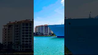 Wonder of the Seas 🛳️ #like #share #comment #subscribe #youtubeshorts #shortvideo #short #shorts