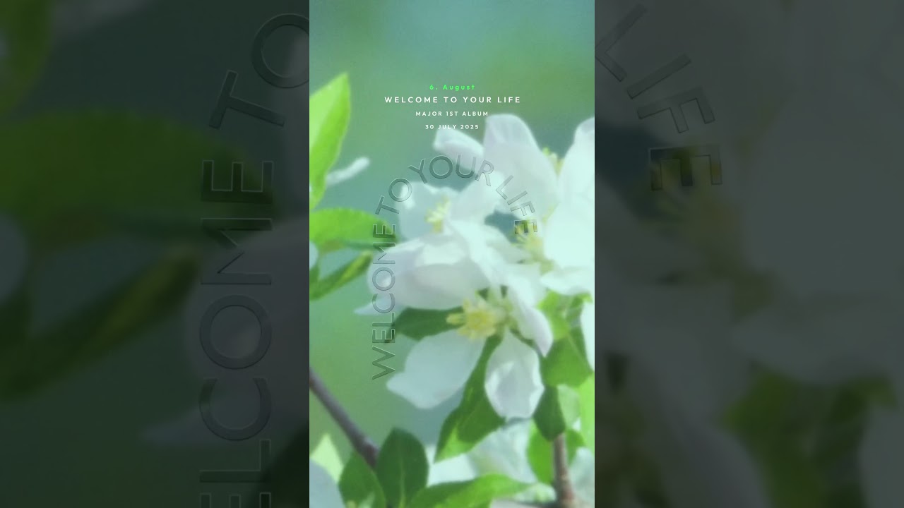 August / シャイトープ