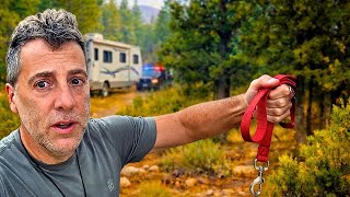 I Was Helping Find a Lost Dog… Then I Lost Mine