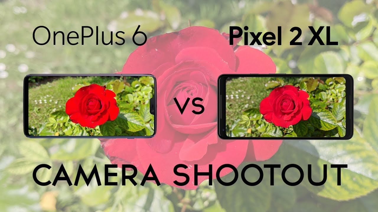 OnePlus 6 vs Google Pixel 2 XL: Camera Shootout