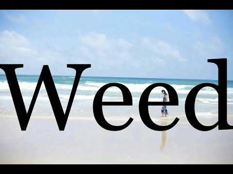 How To Pronounce Weed🌈🌈🌈🌈🌈🌈Pronunciation Of Weed