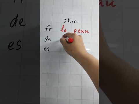 Phần da skin trong tiếng Pháp, Đức, Tây Ban Nha - aprenda vocabulário francês, alemão, espanhol