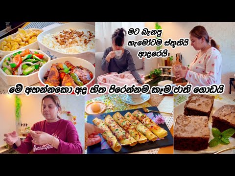 හිත පිරෙන්න කෑම❤️ මීයෝ කාපු කටහඬ හරි 😀