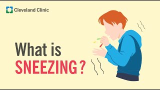 Download lagu What Is Sneezing? mp3