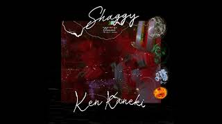 SHAGGYLLA  X KEN KANEKI - ELEMENT (Audio)
