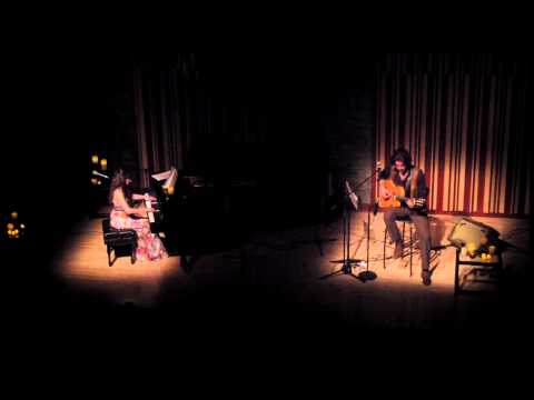 Brothers in Arms (Dire Straights Cover)