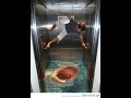 [very funny] [NEW] FUNNY VIDEOS 2016| Top 10 Funny Elevator Pranks| VERY FUNNY must see NOW!!!!!