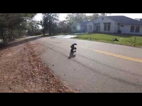 Arrma Notorious Redneck Chicken Bash