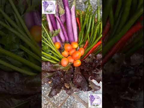 Harvest Garden-123 084 | Full HD | The Art 888 #theart888 #beautiful #earth