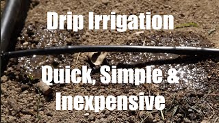 $10 Garden Series #9 -  How to Install a Drip Irrigation System for Your Garden