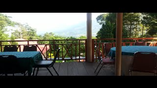 preview picture of video 'Pondok Wisata Teh TAMBI - Dieng # Tambi Hotel, Dieng Plateau, Central Java'