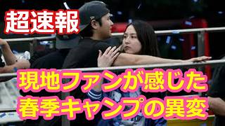 現地ファンが感じた！春季キャンプの異変