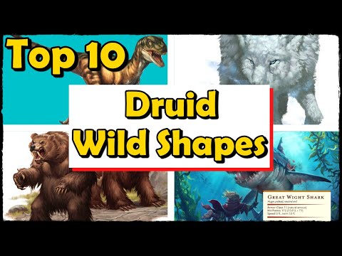 Top 10 Best Druid Wild Shapes in DnD 5E (CR 1 and Lower)