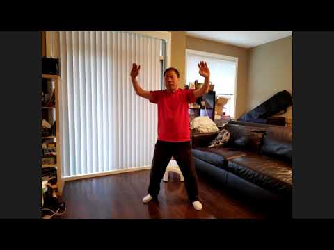 Zoom Virtual Tai chi foundations class with Peter Ng