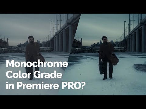 Cinematic Monochrome Color Grading inside Premiere Pro Using a LUT [Free]